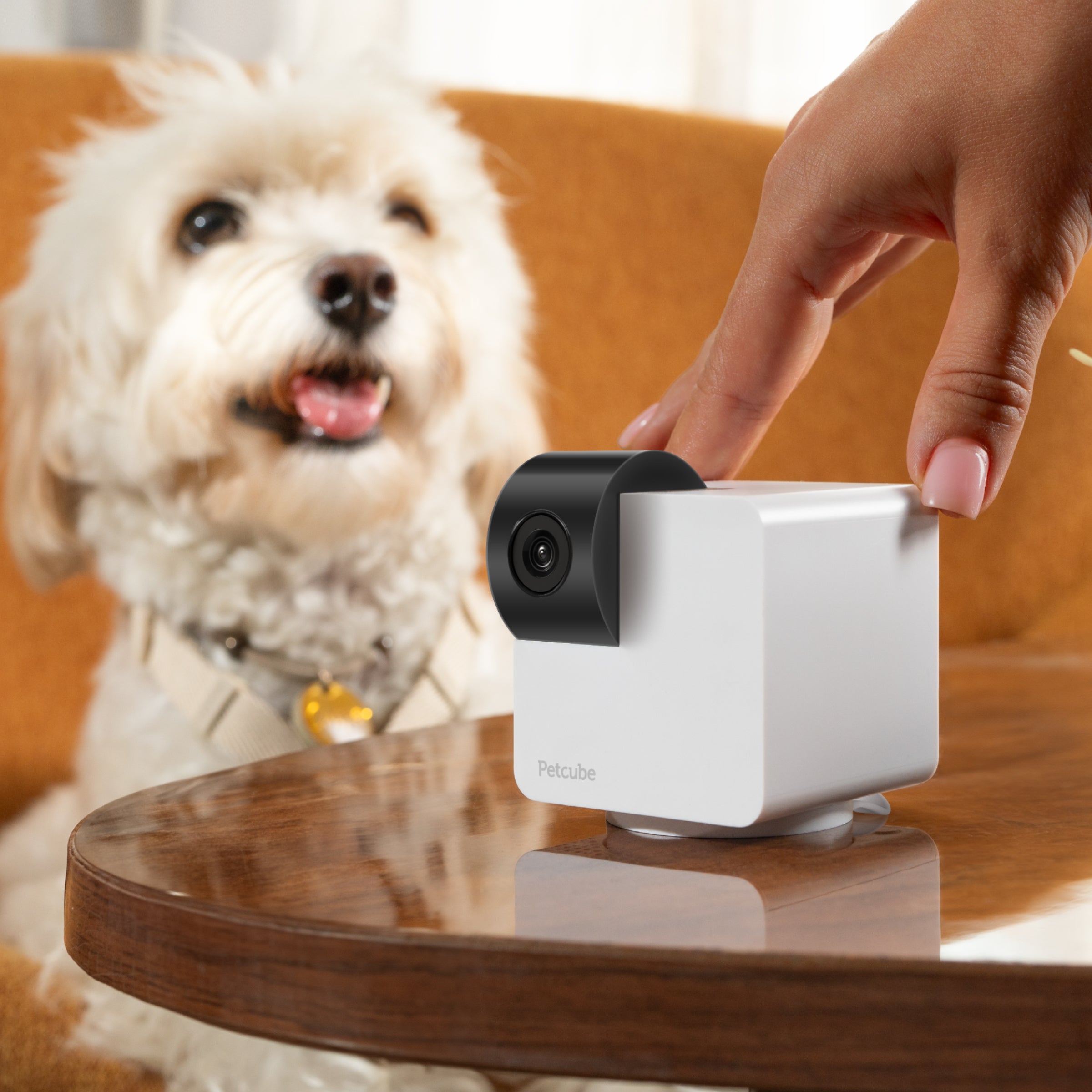 Petcube 360 智能寵物監控鏡頭