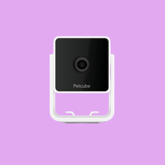 Petcube Cam 智能寵物監控鏡頭