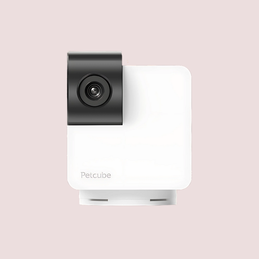 Petcube 360 智能寵物監控鏡頭