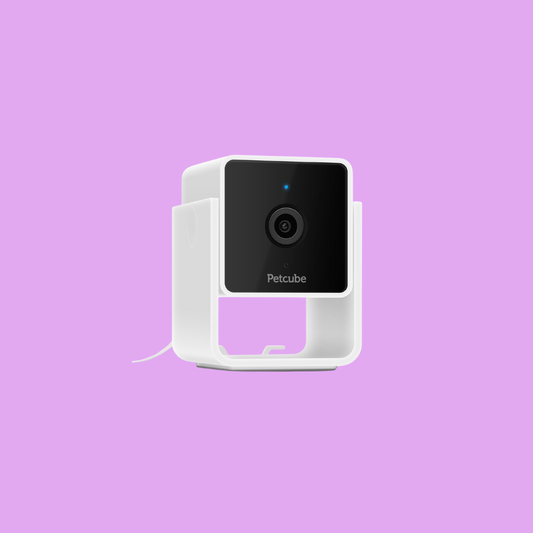 Petcube Cam 智能寵物監控鏡頭