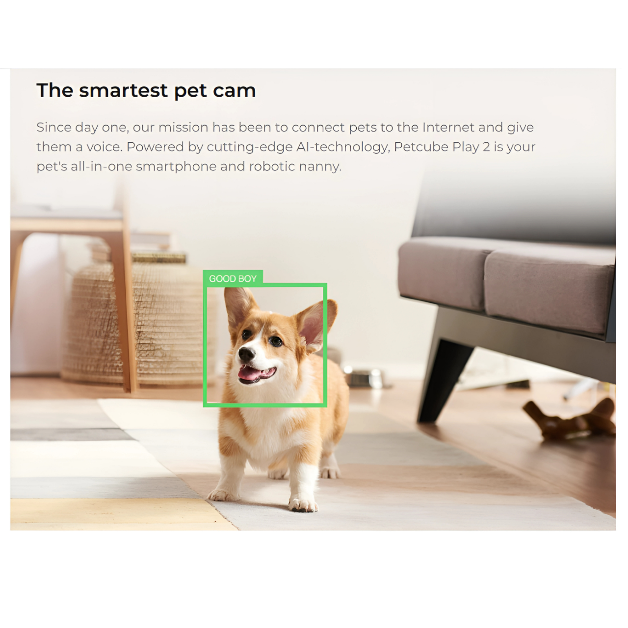 Petcube Play 2 智能寵物監控鏡頭
