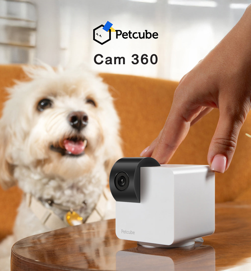 Petcube Cam 360