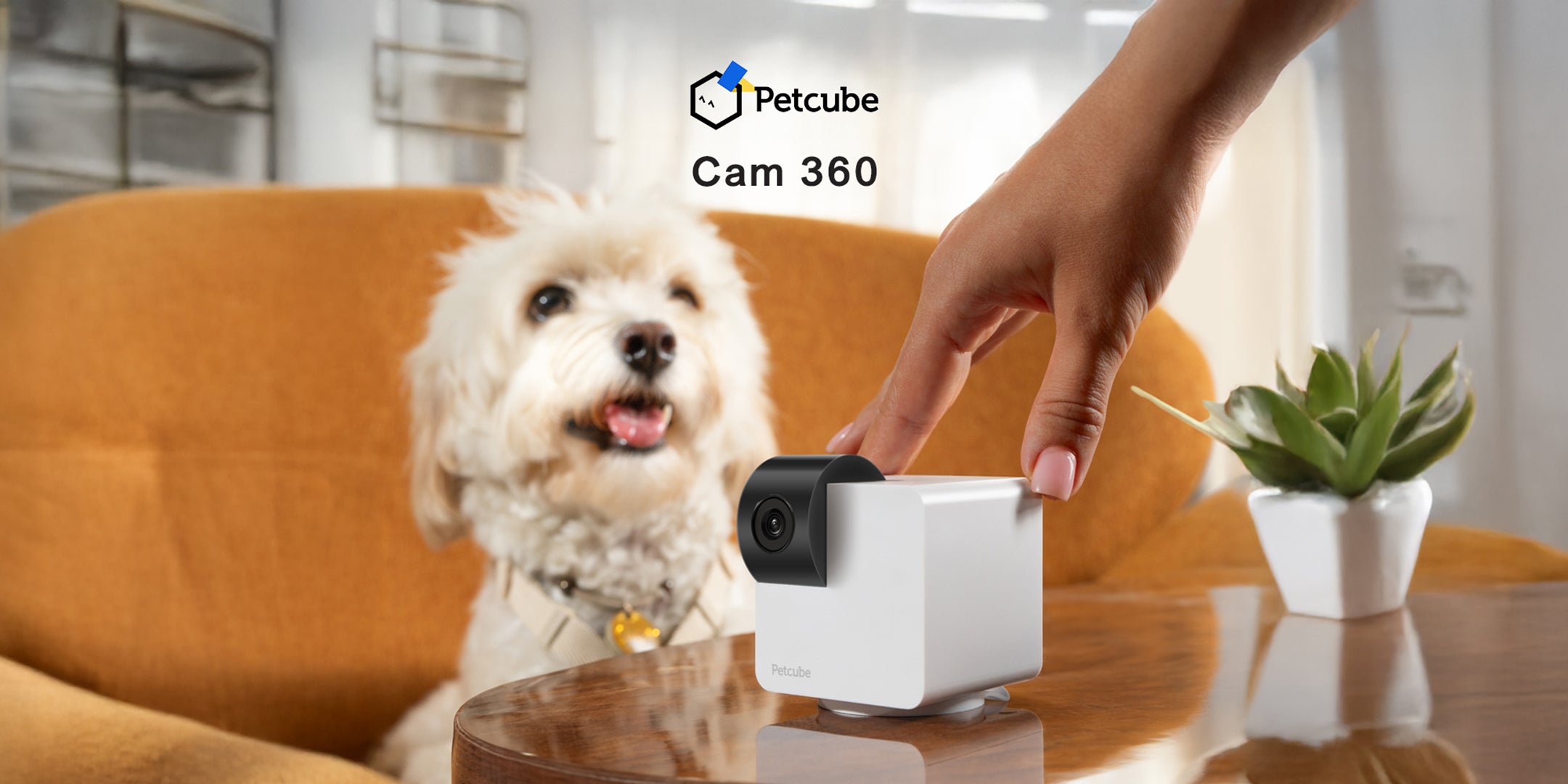 Petcube Cam 360