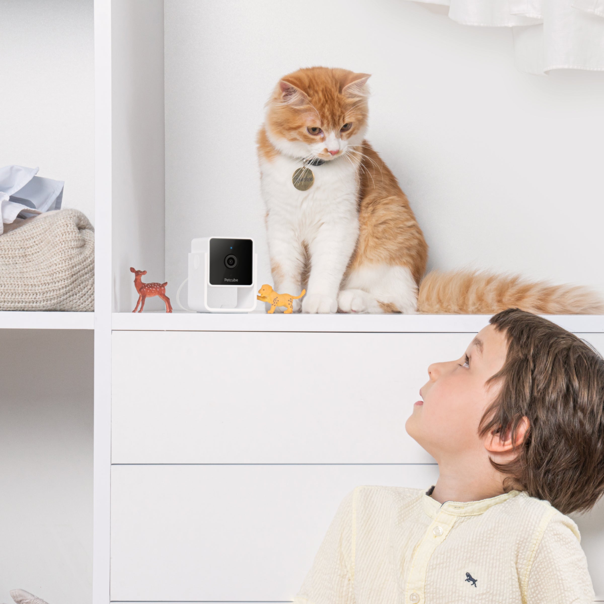 Petcube Cam 智能寵物監控鏡頭